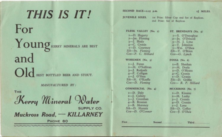 Programme 1955